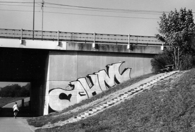 Ohm, Neue Donau, Floridsdorfer Br&amp;uuml;cke, Wien, 2000